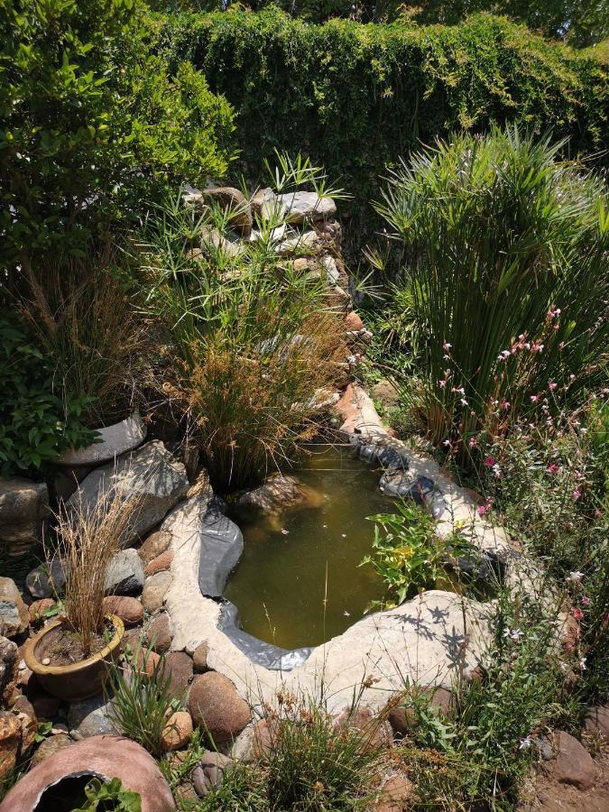 Bastille De Blignaut B&B Edenvale Εξωτερικό φωτογραφία